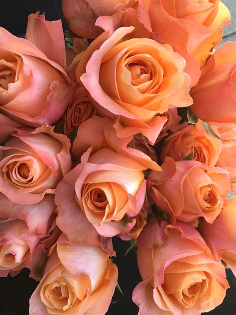 Coral Reef Brown Flowers Coral Flowers Peach Bouquet