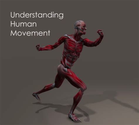 Unit 1 Understanding The Essence Of Human Movement Home Study Course