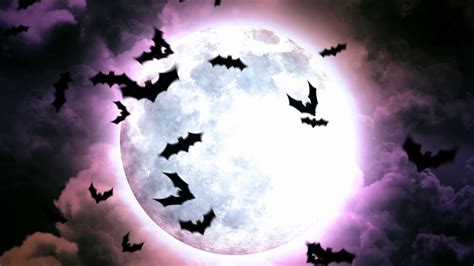 Halloween Moon And Bats In Purple Sky And Clouds Motion