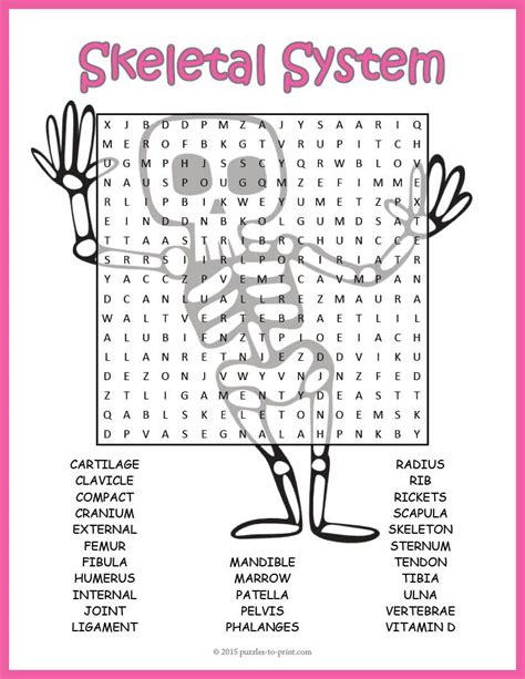 Human Skeleton And Bones Word Search Puzzle Worksheet Activity Skeletal