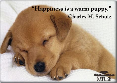 Why We Love Cats and Dogs | Important Pet Quotes in History | Nature | PBS