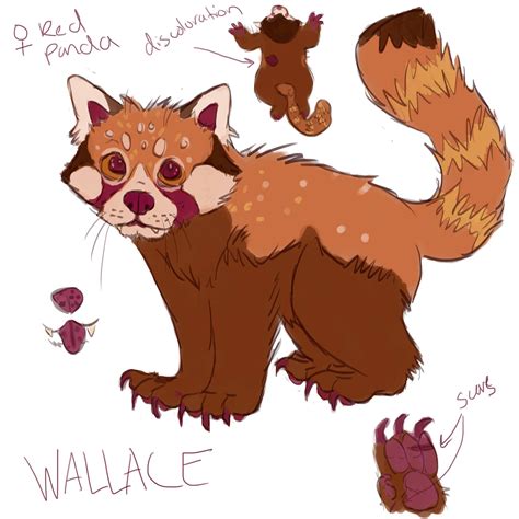 Wallace Red Panda Form — Weasyl