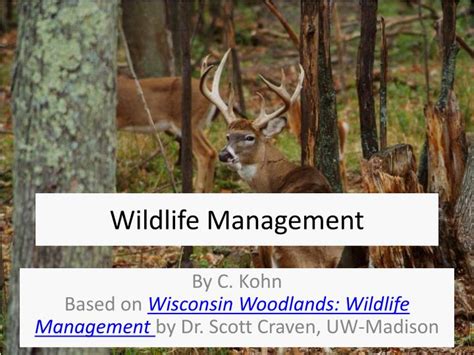 PPT - Wildlife Management PowerPoint Presentation, free download - ID ...