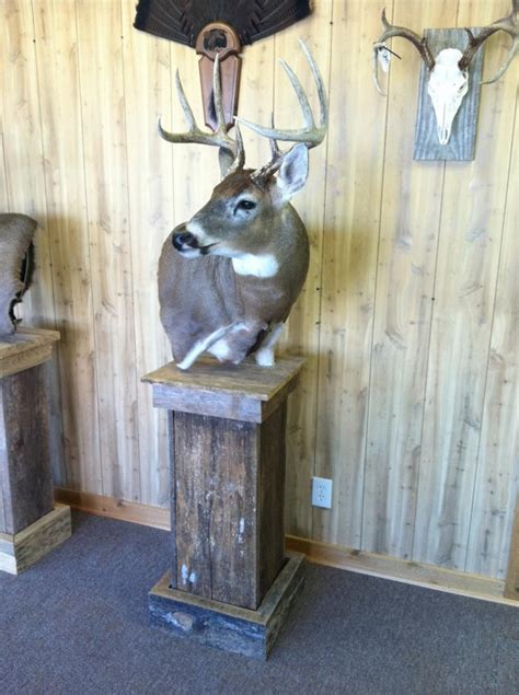 1000 Images About Deer Pedestal And Wall Mounts On Pinterest