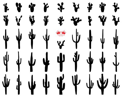 Cactuses Svg Black Silhouette Digital Clipart Files Eps  Cactuses