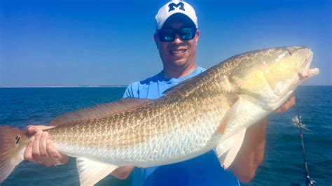 By registering, you help noaa make your catch count. North Carolina Saltwater Fishing Calendar 2021