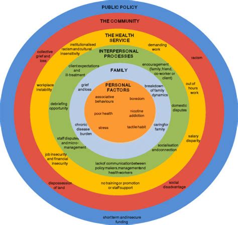 A Social Ecological Framework Depicting The Factors That Directly Or