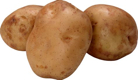 Russet Burbank Potato Clipart 20 Free Cliparts Download Images On