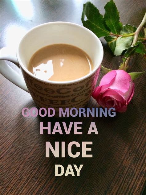 201 Sweet Good Morning Images With Tea Cup Good Morning