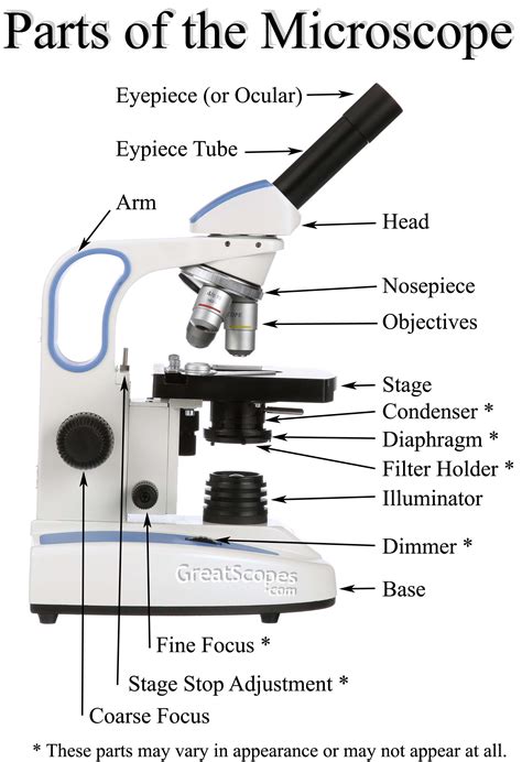Nome Das Partes De Um Microscópio Educa