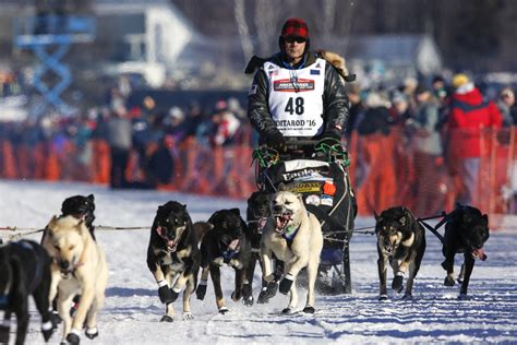 2016 Iditarod Dog Sled Race Alaskas Iditarod The Last Great Race