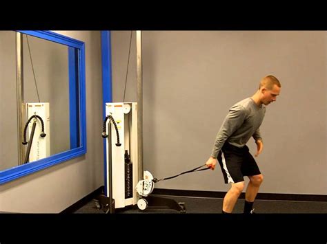 Sa Low Cable Bicep Curl Youtube
