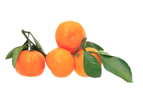 Tangerine Png Transparent Images Free Download Vector Files Pngtree