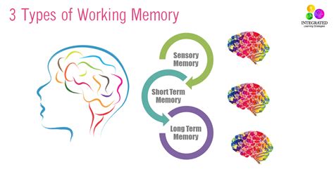 Topic 5 Memory Learning And Improving Concetration Site Title