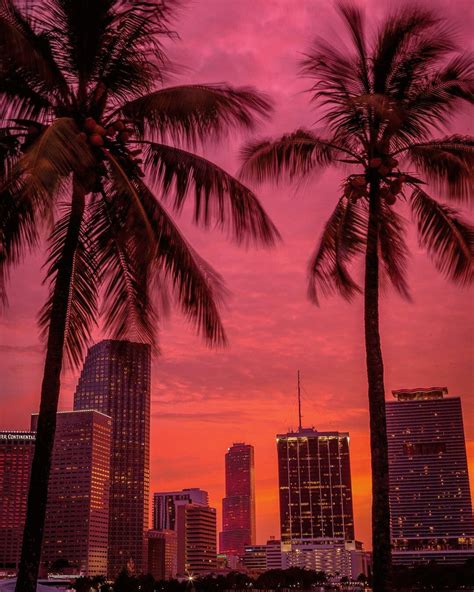 Sunset Behind Palm Trees In Miami Beach Miamibeach Sky Aesthetic Miami Wallpaper Miami Skyline