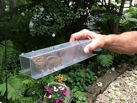 Easy Chipmunk Trap 2 Pack ** You can get more details by clicking on