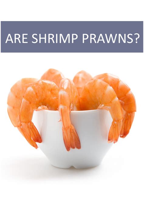 Their carapace is harder than the exoskeleton of prawns. Are Shrimp and Prawns the Same Thing? - Is This That Food