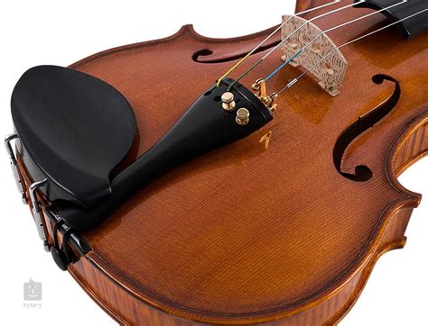 STRUNAL SCHÖNBACH Jiri Hodina Master violin Acoustic Violin