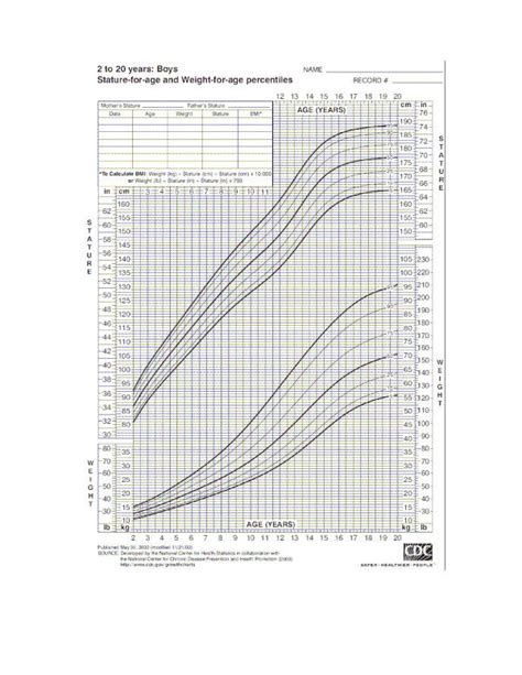 Age Chart A Visual Reference Of Charts Chart Master