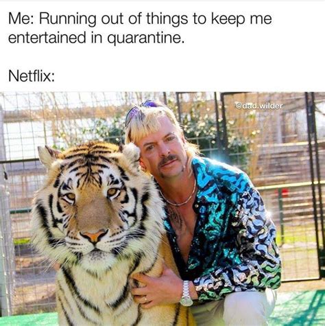 Tiger King Memes Of The Craziest Reactions To The Joe Exotic