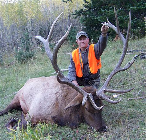 Hcu Elk Hunt Ekge72 Colorado Elk