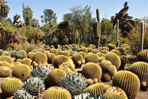 Desert Botanical Garden Scottsdale Vacation Rentals
