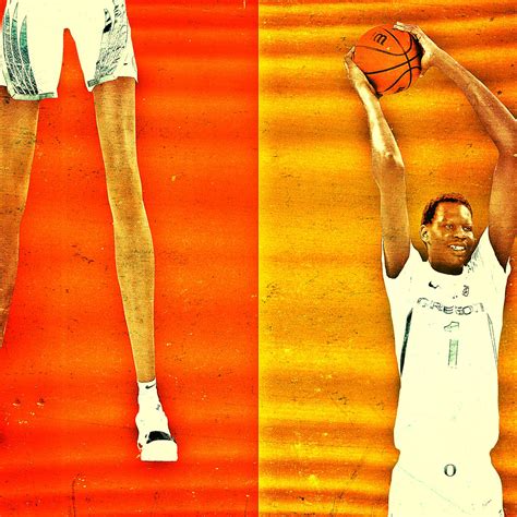 Former NBA Star Manute Bol Dies - sol-inc.jp