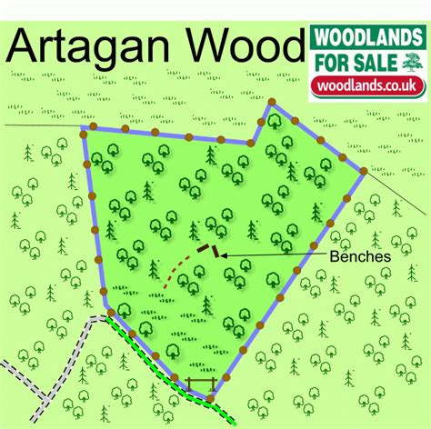 I think we all previously assumed that the reveal meant that artagan *was* the weasel and largely present at. Artagan Wood, Gartocharn, Drymen, Stirlingshire ...