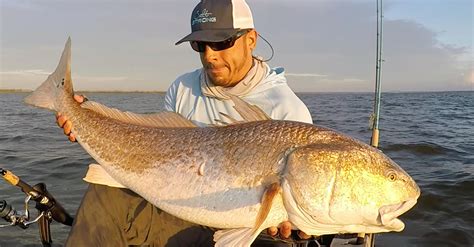 How To Catch Bull Redfish On Artificial Lures 3 Tips