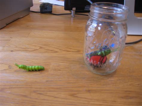 Fun Addition Practice Bugs In A Jar The Measured Mom