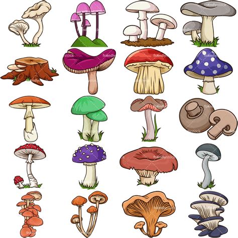 Fresh Mushrooms Clipart Vector Cartoon Friendlystock