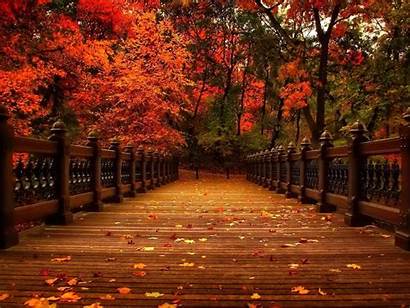 Autumn Bridge Park Wallpapers Trees Fall Desktop