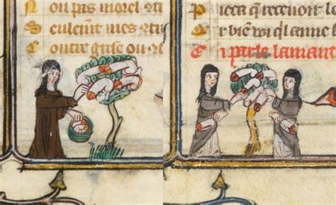 Bizarre And Vulgar Illustrations From Illuminated Medieval Manuscripts