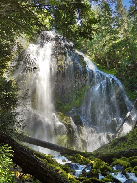 Proxy Falls Lane County Oregon Oregon Life Waterfall Oregon