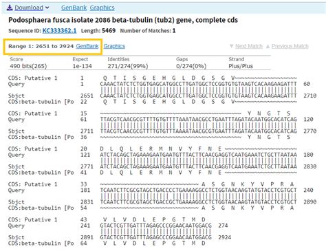How Do I Use Nucleotide Blast Blastn And The Cds Feature Display To