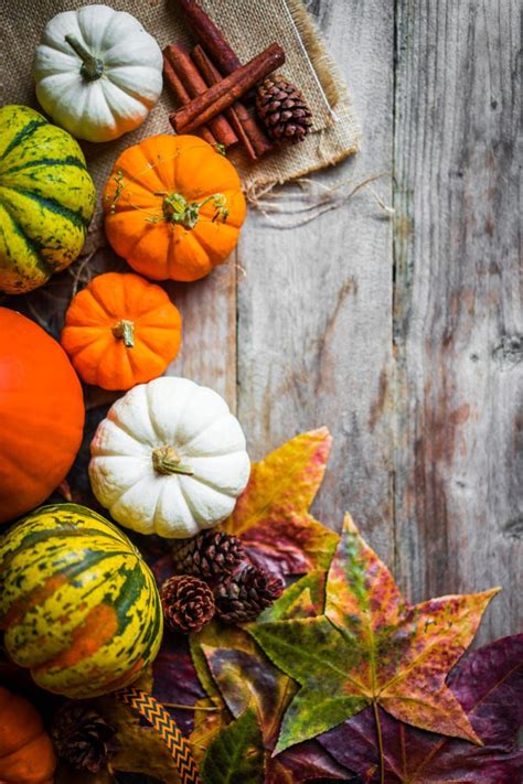 Colorful Pumpkins And Fall Leaves On Rustic Wooden