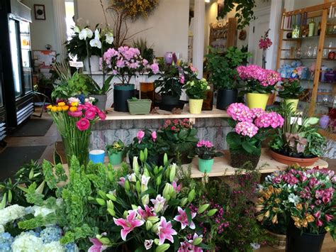 Classes are filling up quickly! My flower shop in Brunswick ,Maine. Pauline's Bloomers ...