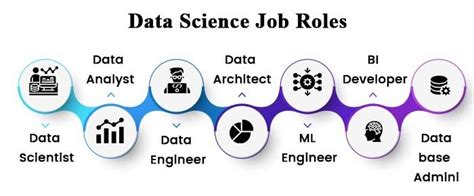 What Is Data Science Importance Of Data Science Lifecycle