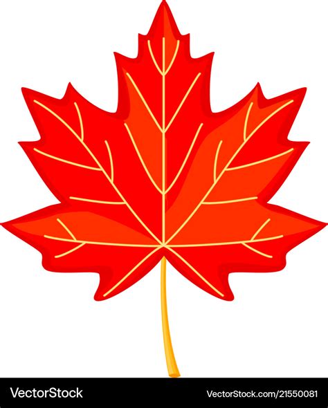 Colorful Cartoon Red Maple Leaf Royalty Free Vector Image