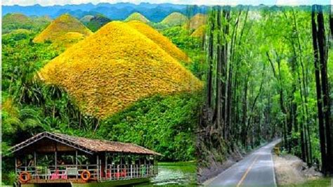 Bohol Countryside Tour Exotic Philippines