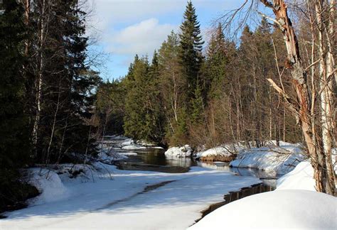 Wallpaper Download Finland Landscape Winter Snow Free Hd Download