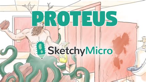 Proteus Sketchymicro Sketchy Medical Usmle Step 1 Youtube
