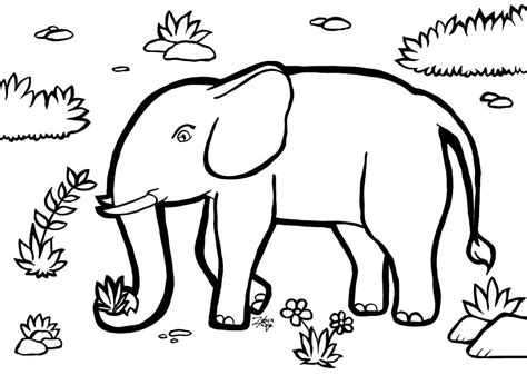 Printable Elephant Coloring Page Free Printable Coloring Pages For Kids