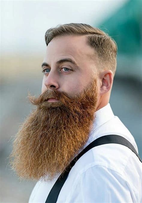 26 Beard Styles With Hairstyles Hairstyle Catalog