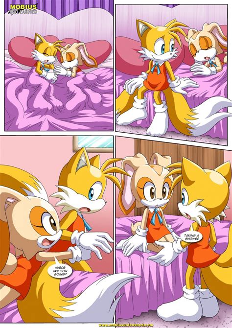 Sonic And Tails Hentai Image