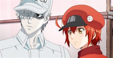 Coalise Estudio Presenta El Primer Teaser De Cells At Work Con Doblaje