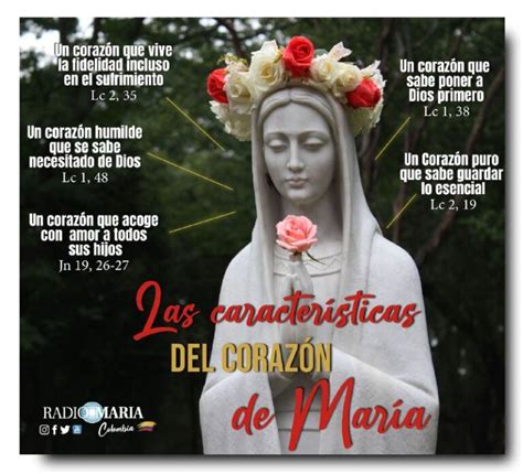 Infografía Las Características Del Corazón De María