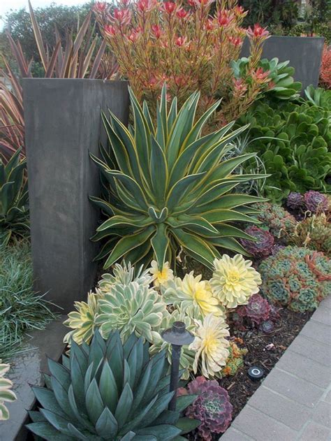 30 Beautiful Desert Garden Design Ideas For Your Backyard Drought