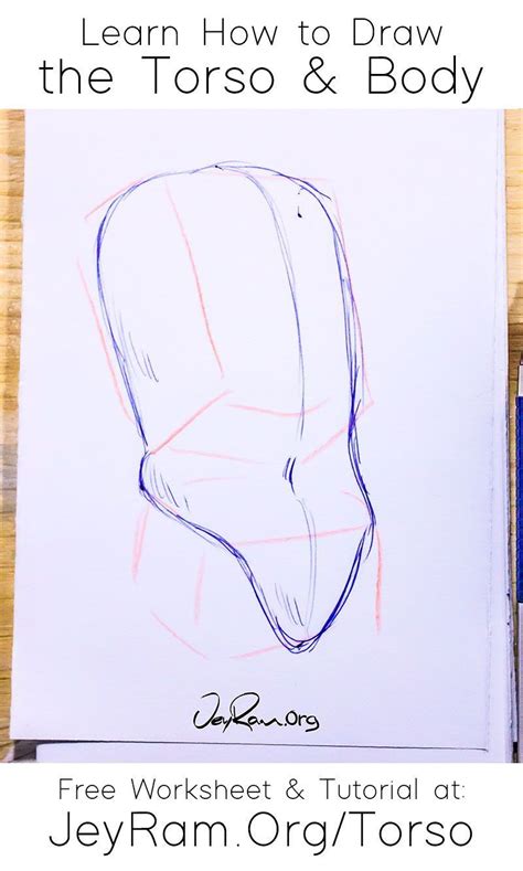 An Image Of How To Draw The Torso And Body With Pencils On Paper