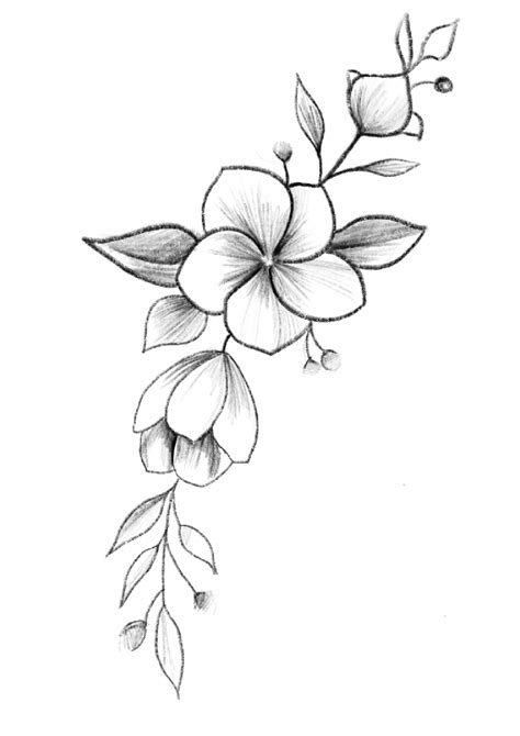 A Black And White Drawing Of Flowers With Leaves On Its Side In The